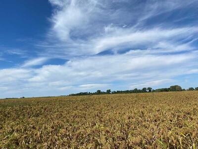 Продаж ділянки під будівництво, Грузьке, площа 6,0359 га Від власника!