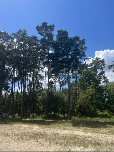 Продам ділянка під житлову забудову Бучанський, Бобриця, Козацька 98