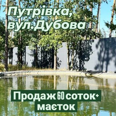 Продам 6-к будинок Київ, Печерський, Дубенська вул.