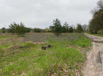 Продам землю сільськогосподарського призначення Бучанський, Буча, -