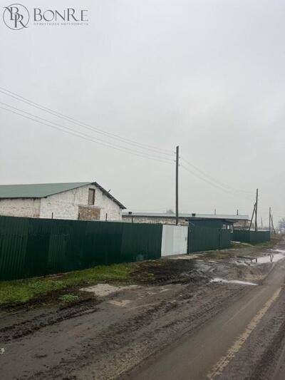 Продаж: Свинокомплекс із діючим бізнесом