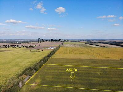 Продам землю сельскохозяйственного назначения Фастовский, Великая Солтановка, Центральна