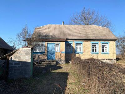 Продам 6-к дом Бучанский, Бородянка, Волиця