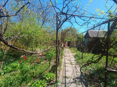 Продам ділянка під житлову забудову Фастівський, Хлепча, Касіора