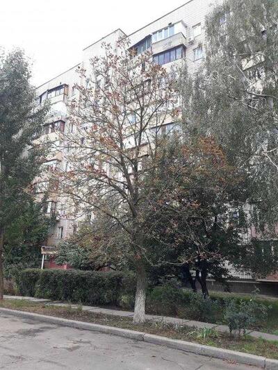 Сдам долгосрочно 1-к квартиру Киев, Святошинский, Симиренко ул., 26