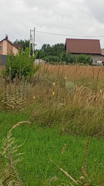 Ділянка біля лісу в забудованому  КМ