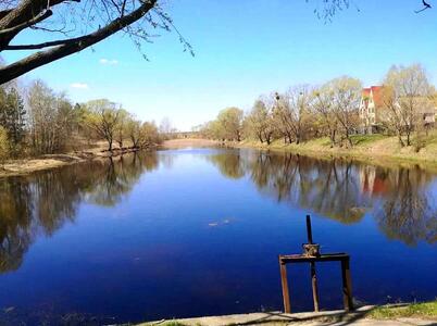 Продам участок под жилую застройку Бучанский, Николаевка, Миколаївська