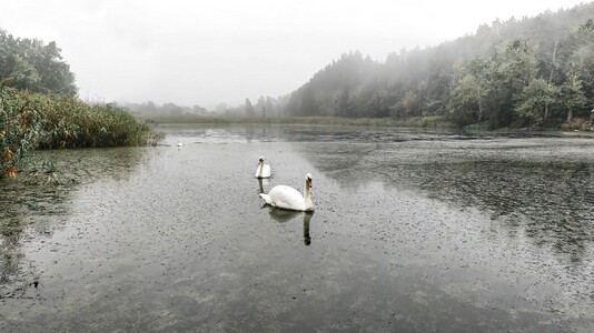 Продам ділянка під житлову забудову