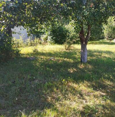 Продам ділянка під житлову забудову Бучанський, Ірпінь, Незалежності 33