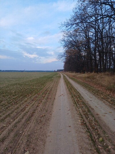 Продаж земельної ділянки, 3 Га, Київська обл.