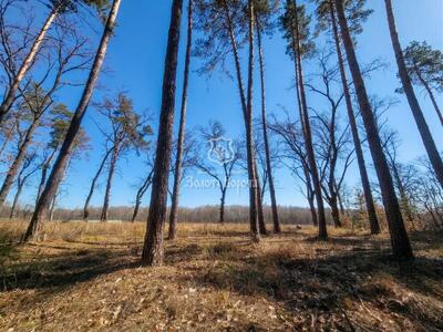 Продам ділянка під житлову забудову Обухівський, Козин, Соловьяненко Анатолия
