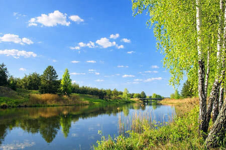 Вишгород, 12 км від Києва, 8 ділянок, 142 сотки, садівництво,