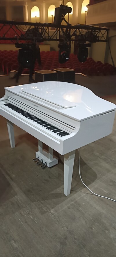 Вантажні перевезення бус