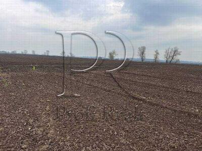 Продам ділянка під житлову забудову Бориспільський, Бориспіль, Киевская область Украина 08350