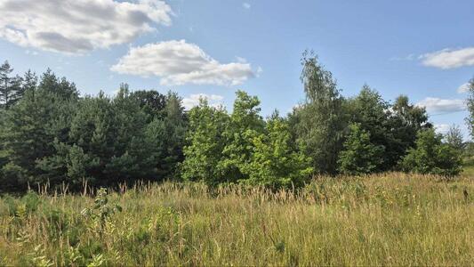 Продам ділянка під житлову забудову Бучанський, Музичі, Степова