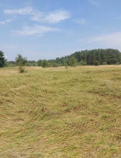 Продам ділянка під житлову забудову Вишгородський, Ясногородка, Польова