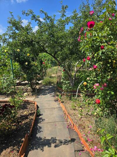 Продам 2-к дачу Білоцерківський, Черкас, Польова