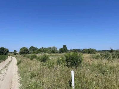 Продам землю сільськогосподарського призначення Броварський, Рожівка, Лісна