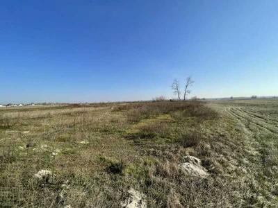 Продам землю сільськогосподарського призначення Броварський, Пухівка, Центральна