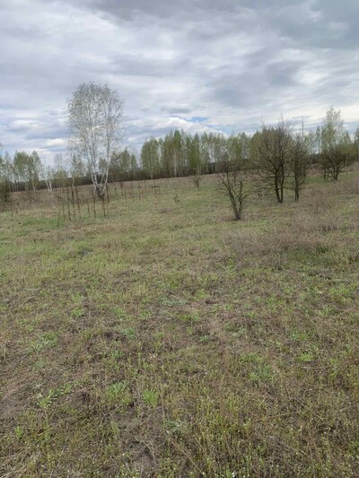Нижча Дубечня, 2 га, ОСГ, у межах села. Гарне місце.