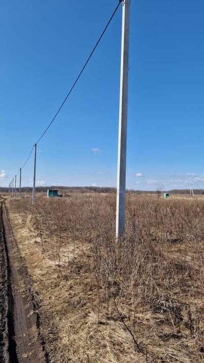 Продам землю сільськогосподарського призначення Білоцерківський, Біла Церква, Військбуд