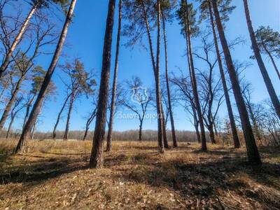 Продам ділянка під житлову забудову Обухівський, Козин, Соловьяненко Анатолия