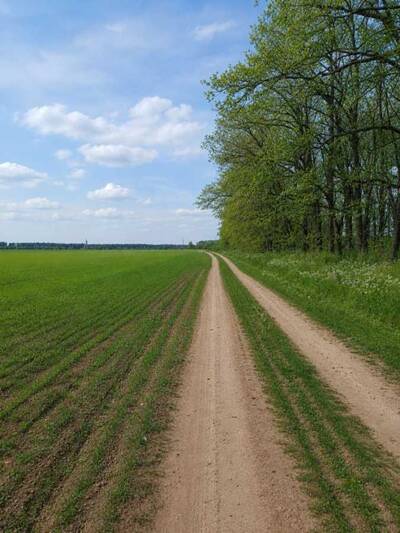Продам ділянка під житлову забудову Фастівський, Забір`я, Забір я