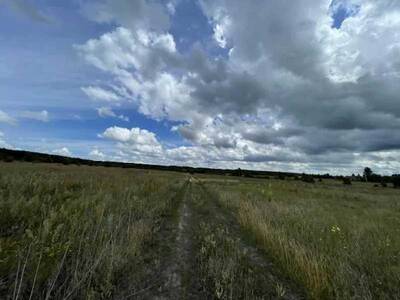 Продам землю сільськогосподарського призначення Вишгородський, Абрамівка, Нова