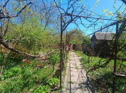 Продам ділянка під житлову забудову Фастівський, Хлепча, Касіора