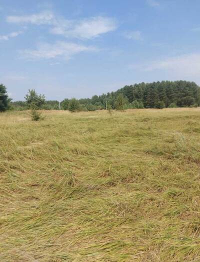 Продам ділянка під житлову забудову Вишгородський, Ясногородка, Польова