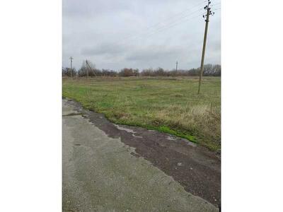 Продам землю сільськогосподарського призначення Козелецький, Омельянів, Нова