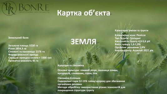Продаж: Господарство 5230 га Чернігівська обл., Козелецький р-н