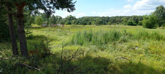 Продам землю сельскохозяйственного назначения Козелецкий, Остер, Одинця