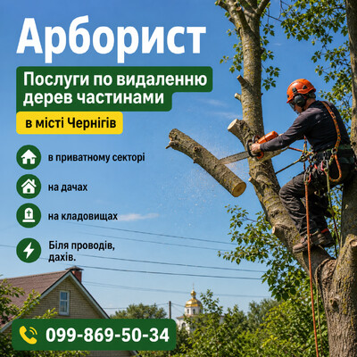 Спиляємо аварійні дерева в приватному секторі. Чернігів.