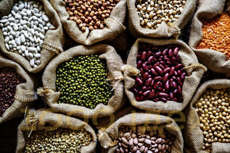 Продаж. Посівмат квасолі. Насіння квасолі. В асортименті