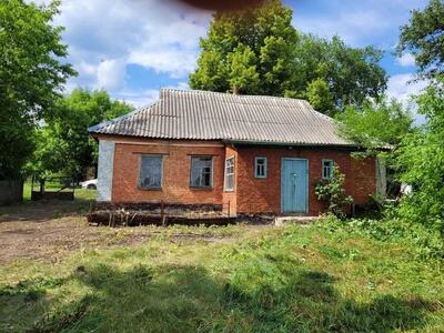 Будинок в с.Старицьківка- 30 км від Полтави.