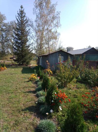 Облагорожена дачна ділянка з садовим будинком!