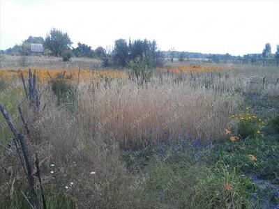 Будинок в селі Ватажково.