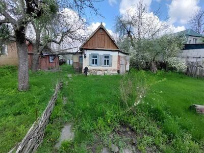 Будинок на Кртуому березі