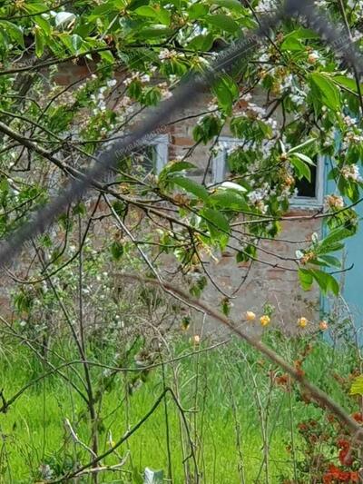 Продається земельна ділянка на Вороніна