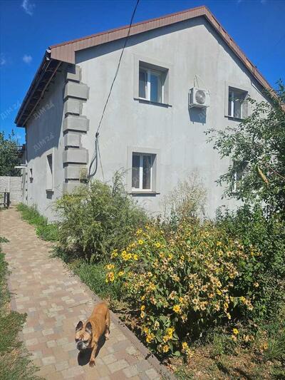 Чудовий будинок неподалік річки в місті!