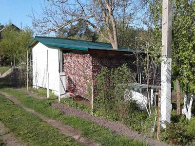 Охайна бюджетна дача біля лісу