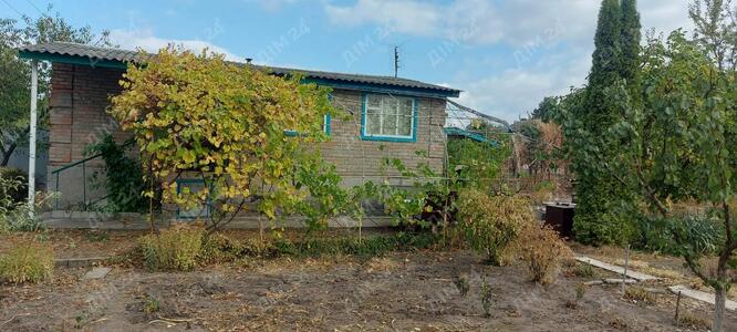 Дача поблизу соснового лісу.