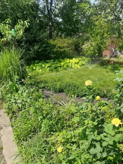 Дача на Вороніна 600м до річки