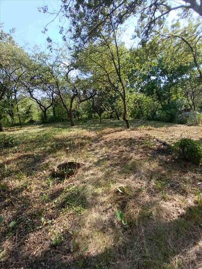 Ділянка з дачним будиночком в перспективі!