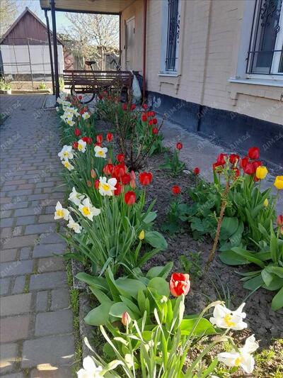 Гарний будинок з 3 кімнатами на Подолі!