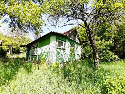 Природний шарм передмістя.