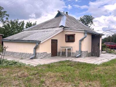 Затишний будинок з ділянкою в передмісті Полтави