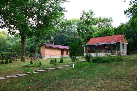 Петрівка. Будинок на природі.