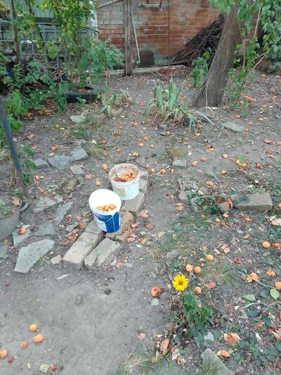 Бюджетна частина будинку на Подолі